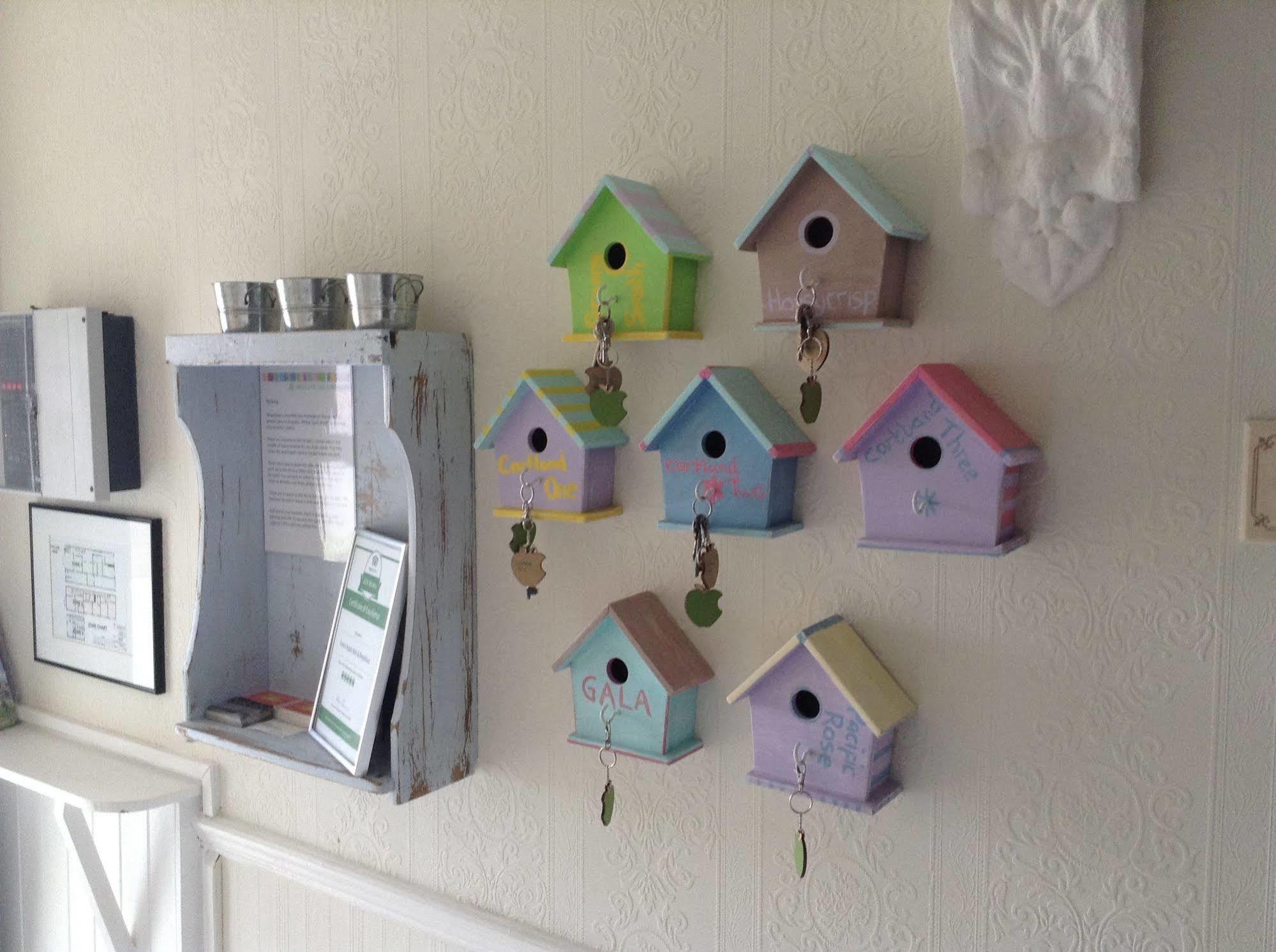 Green Apple Bed And Breakfast เซนต์ไอฟส์ ภายนอก รูปภาพ